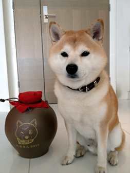 小倉康弘さま